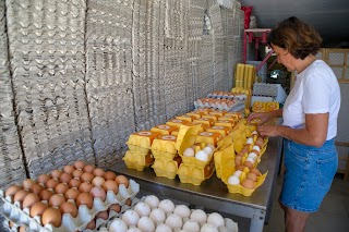 Azienda Agricola Galline Felici