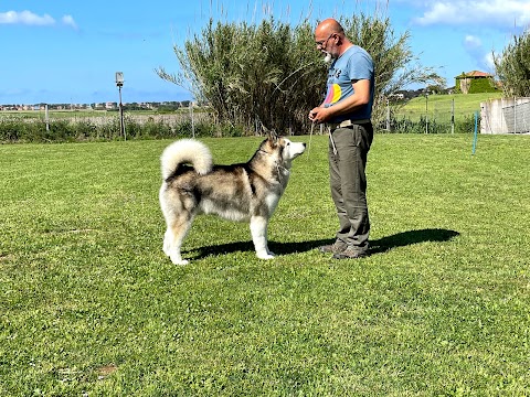 centro cinofilo meravigliosa vita da cani