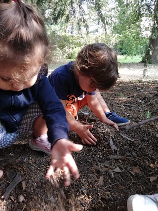 Asilo nido Il Bosco delle Meraviglie