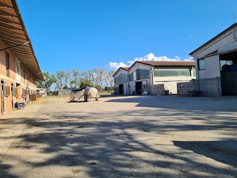 Bologna equestrian center