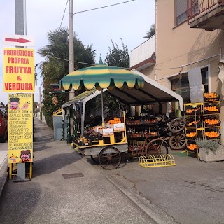 Frutta Verdura Plateroti Rossella