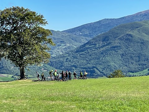 Stray Dogs - Noleggio E-Bike, Tour Guidati, Trekking - Pievepelago Cimone Appennino