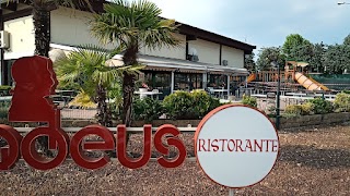 Pizzeria Ristorante Amadeus