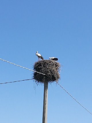 Fattoria Didattica La Meridiana