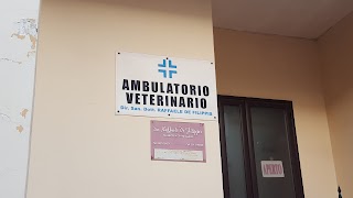 Ambulatorio Veterinario dott. De Filippis