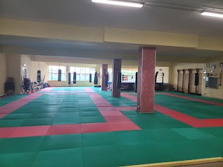 Dojo Miura Torino