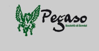 Pegaso Service Soc. Coop. a r.l. Società di Servizi