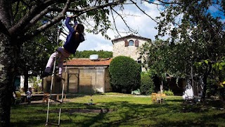 Educazione nel Bosco