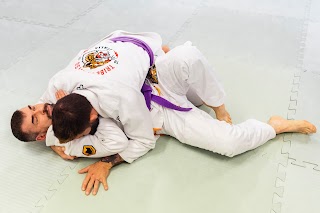 Tribe Jiu Jitsu Venezia