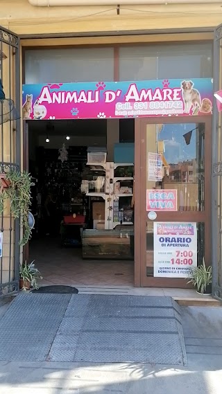 Animali D'Amare