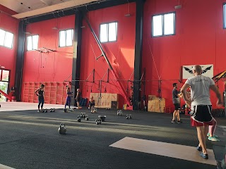 Palagym Palestra Ginnastica Ferrara