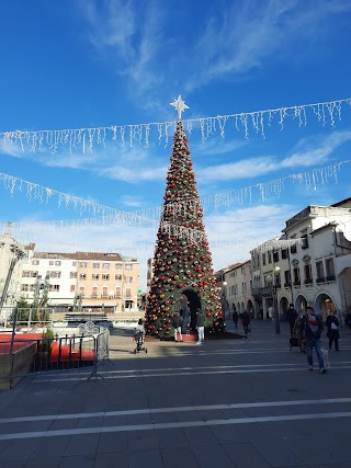 IQOS PARTNER - Piazza Ferretto, Mestre