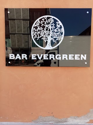 Bar Evergreen