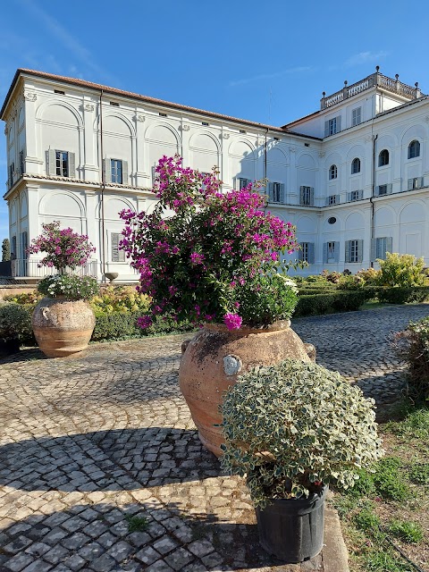 Accademia Vivarium Novum