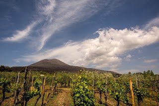 Cantina del Vesuvio Winery Russo Family