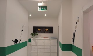 Clinica Veterinaria e Pronto Soccorso Dr. Pirovini - Milano