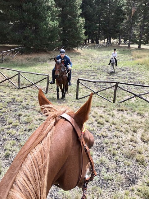 Etna Horse Riding/Etna Escursioni a cavallo