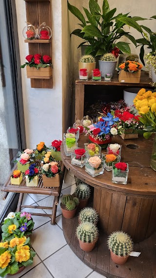 I Fiori Di Martino Milano