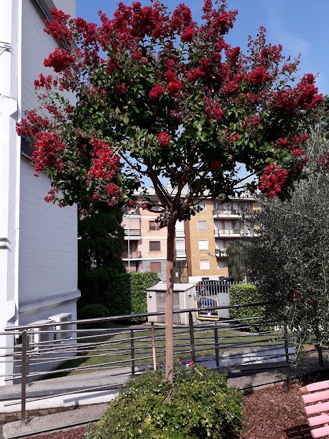 Scuole Pubbliche Elementari "Gianni Rodari" Direzione Didattica VI Circolo