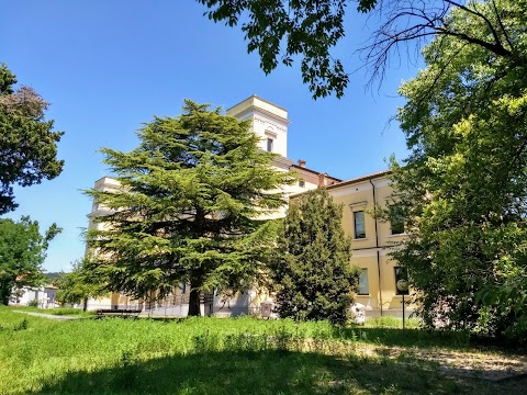 Liceo Classico “Dante Alighieri”