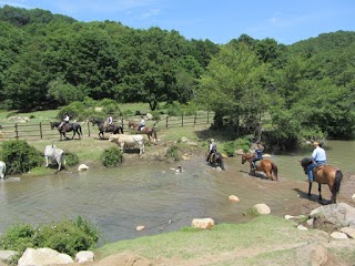 Caino Asde - Passeggiate A Cavallo