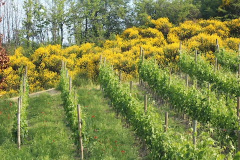 Azienda Agricola La Gioia