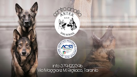 Centro cinofilo antek dog school