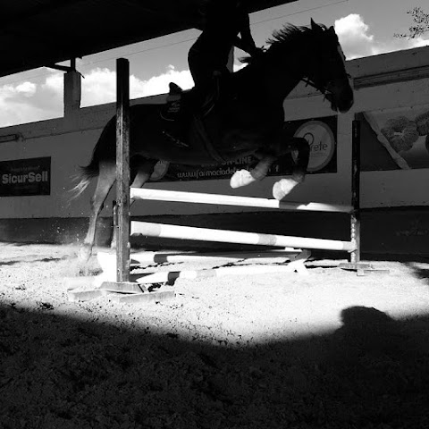 Horse Club Stea - ASD The Dream Scuola di Equitazione