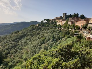 Parco delle Terme