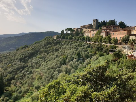 Parco delle Terme