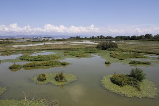 Riserva Naturale Regionale della Foce dell'Isonzo Isola della Cona