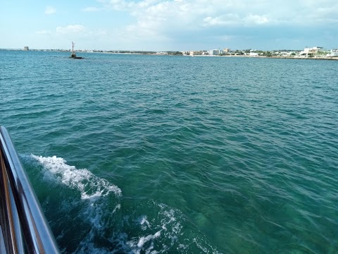 A Mare Salento Minicrociera In Catamarano