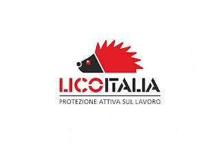 Licoitalia Snc