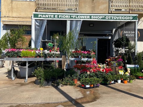 Flower Shop Ottoveggio