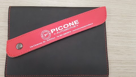 F.Picone Srl