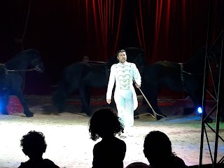 'Circo Maya Orfei Madagascar Monteforte Irpino