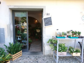 Boutique del Fiore "GRAZIA" di Matteucci Lucia