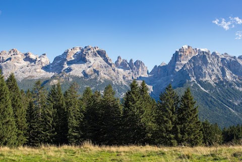 Ingo Viaggi Dolomiti Transfer