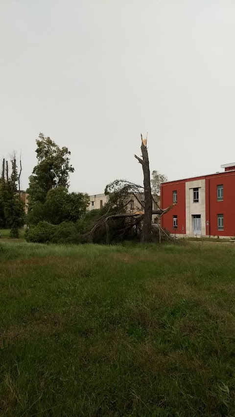 Facoltà di Economia - La Sapienza (Polo Pontino)