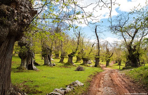 VAL DI LIMA OFF ROAD