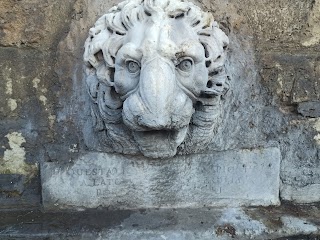 Fontana di Porta Cavalleggeri