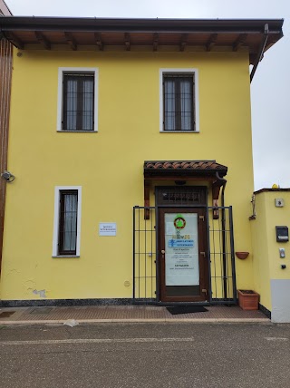 Ambulatorio Veterinario Parini