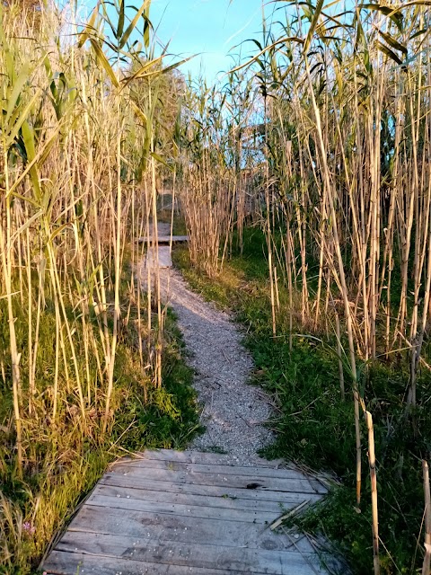 Parco della Conoscenza e del Benessere