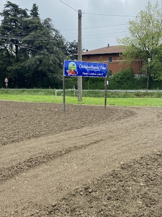 Azienda agricola FEBO