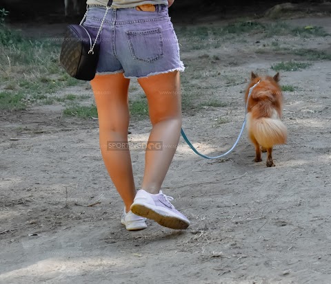 Scuola per cani Sporting Dog