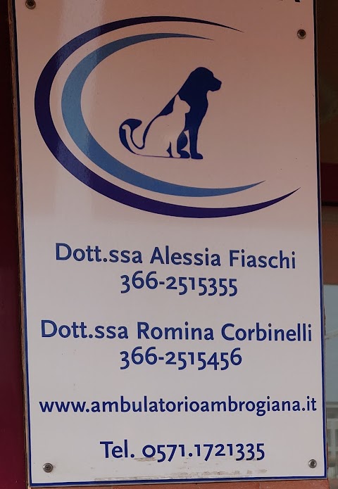 Ambulatorio Veterinario Ambrogiana