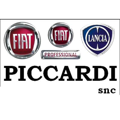 Auto Piccardi