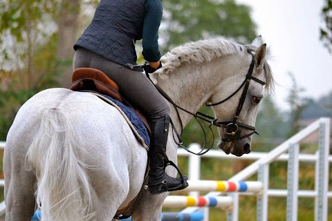 Bologna equestrian center