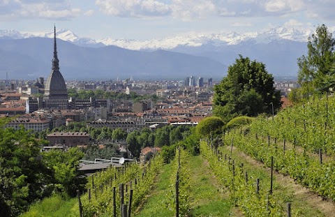 Consorzio Professione Più - Corsi di Formazione Aziendali, di Lingue e di Sicurezza Torino