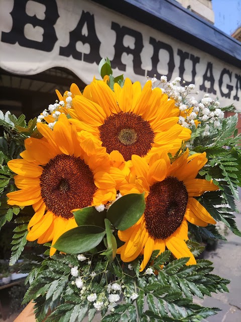 Foto di Fiori Barduagni - Via Venti Settembre 58, Roma (RM), Italia